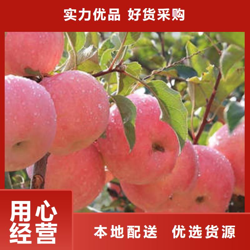 【红富士苹果】-嘎啦苹果为品质而生产