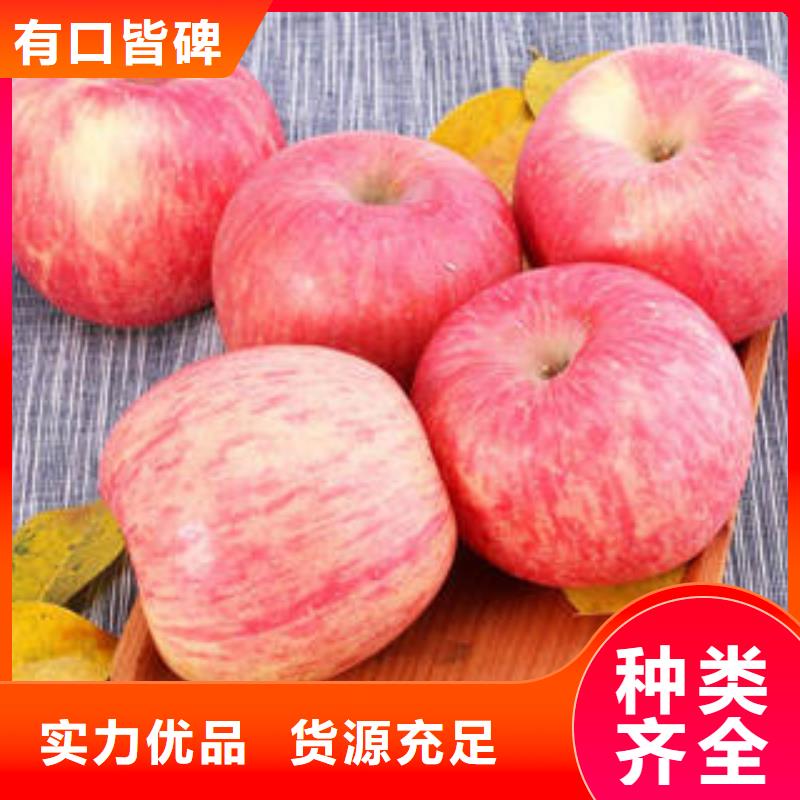 订购{景才}红富士苹果,【苹果种植基地】详细参数