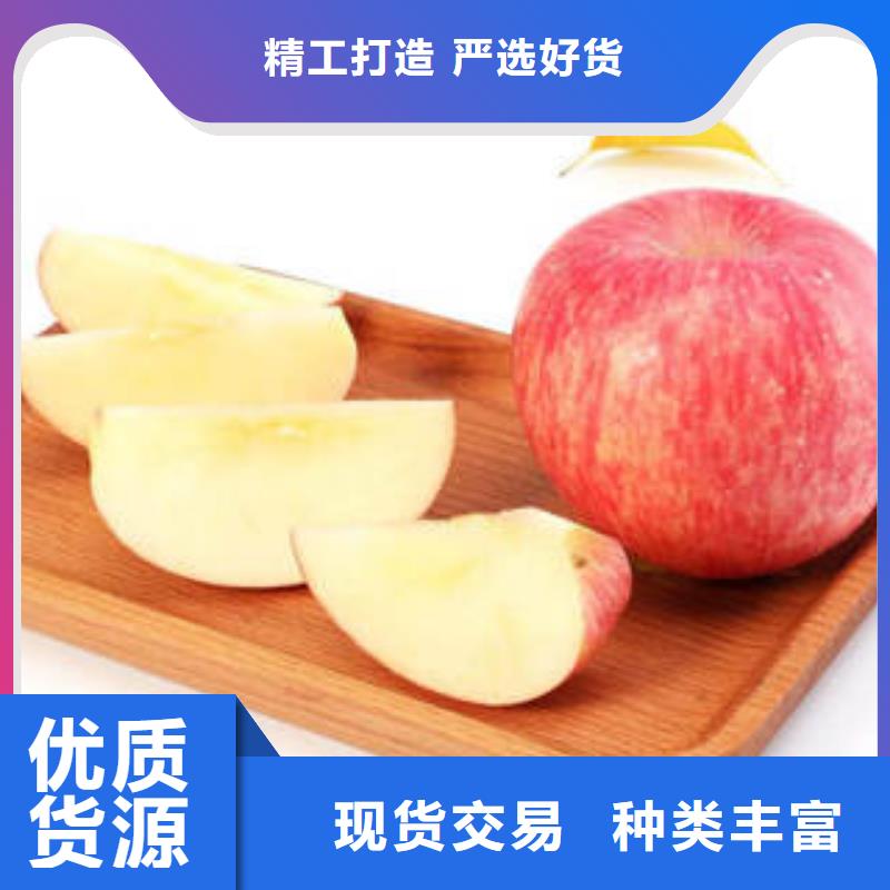 红富士苹果苹果种植基地专业生产厂家