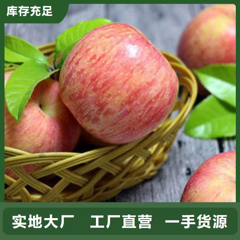 选购<景才>红富士苹果苹果
质检合格发货