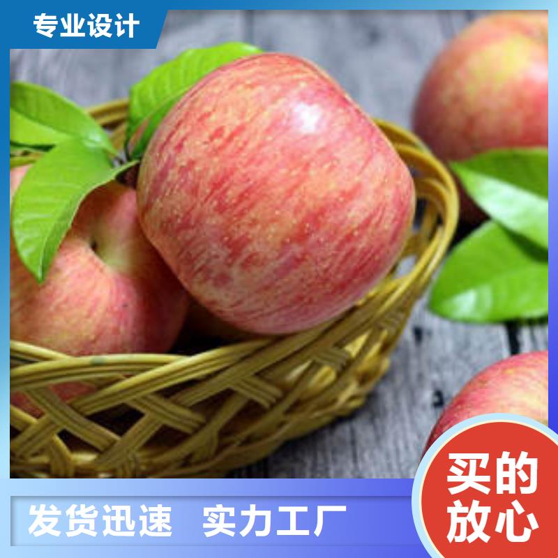 红富士苹果【苹果
】现货直供