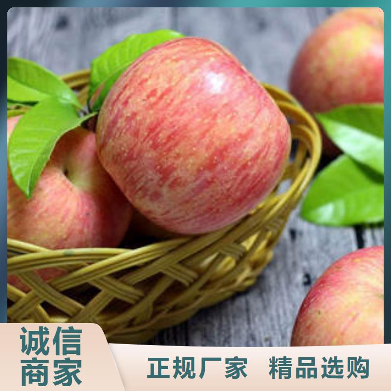 红富士苹果【苹果】品质优选
