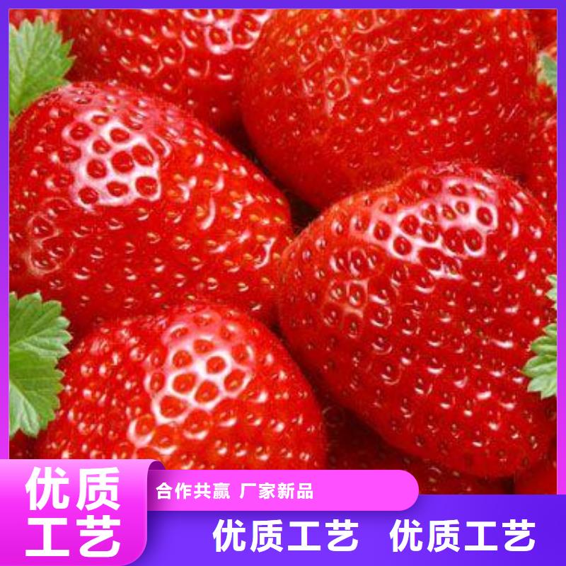 草莓苗,桃树苗应用广泛