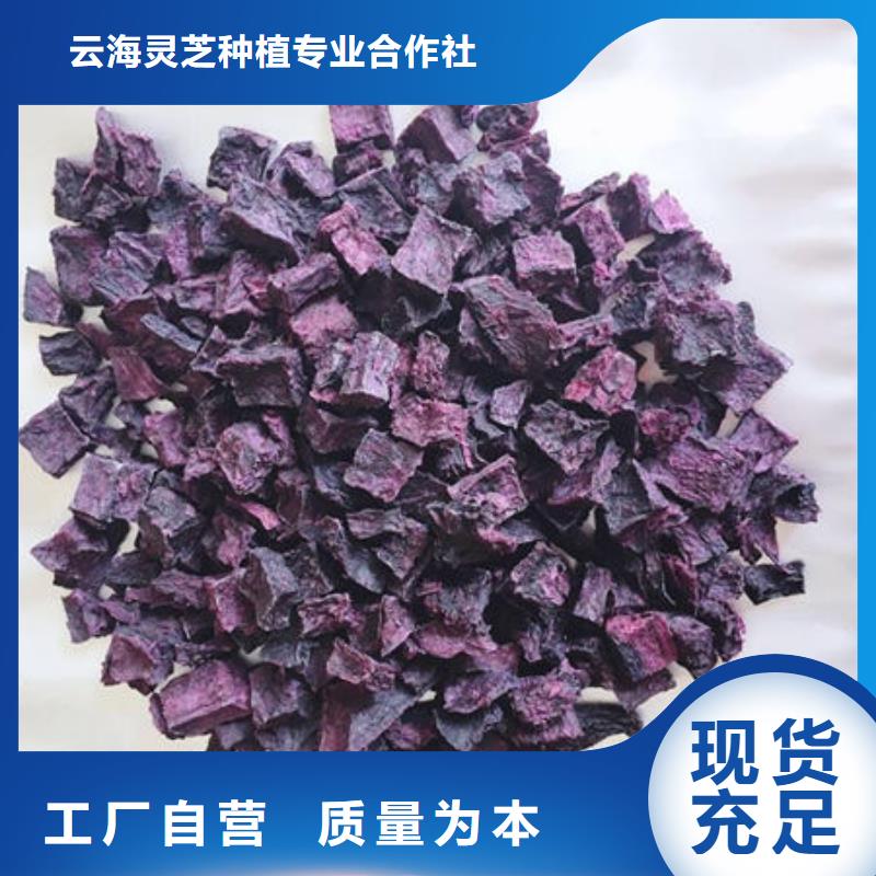 紫薯丁灵芝菌种检验发货