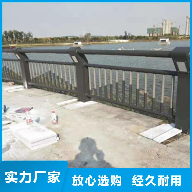 海量现货展鸿矩形管河堤防护栏质量有保障
