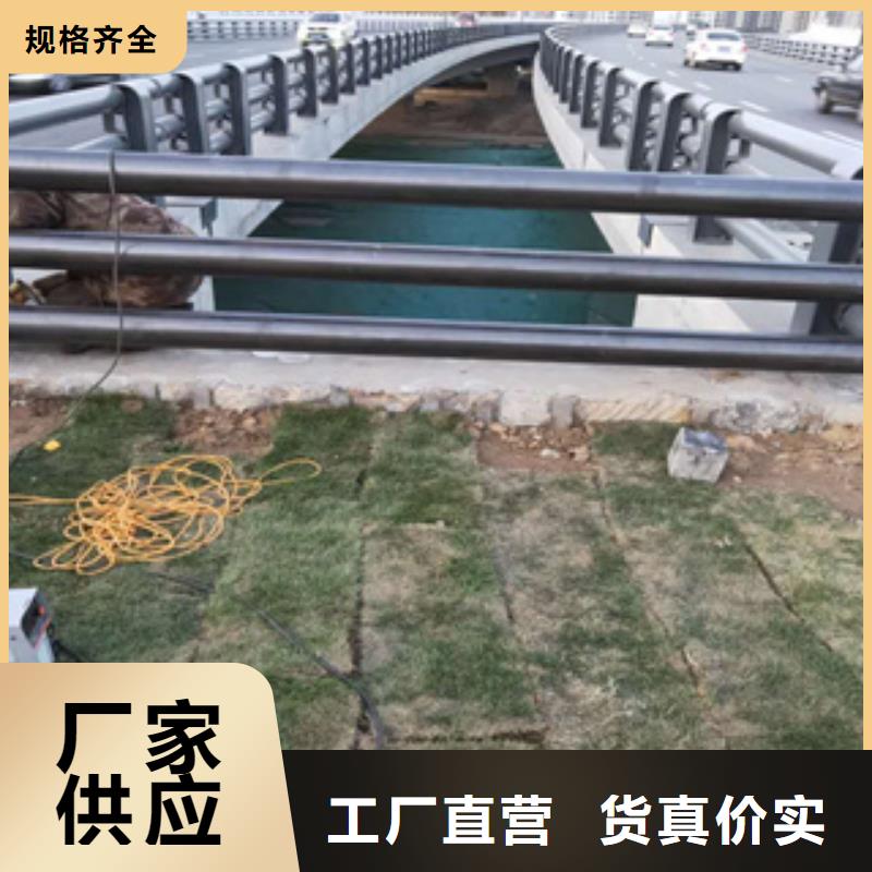 吉林同城<展鸿>灯光桥梁防撞护栏实体厂家供应
