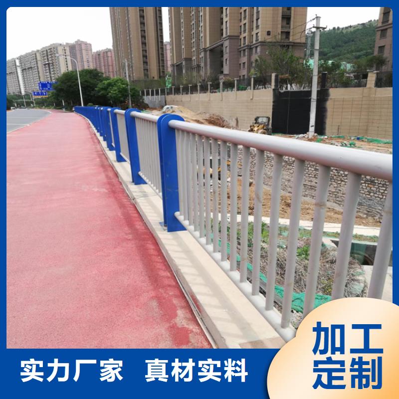 广东省河源定制美观实用的河道铝合金防护栏