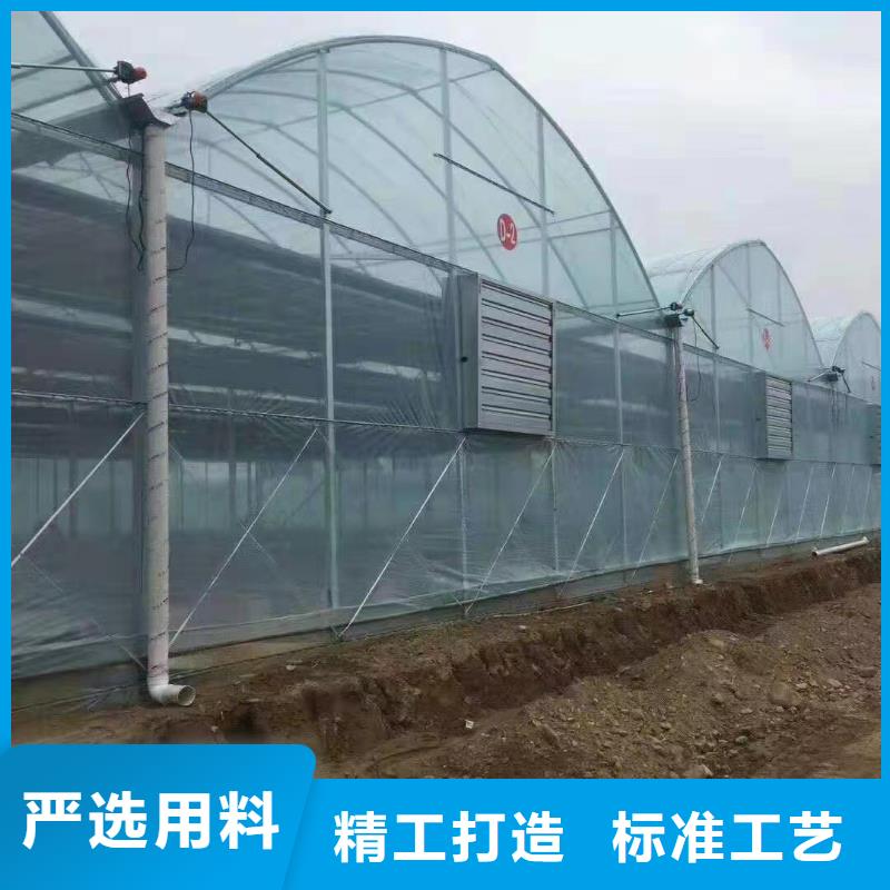 广东省珠海市白藤街道养鸡定尺大棚管承诺守信2024