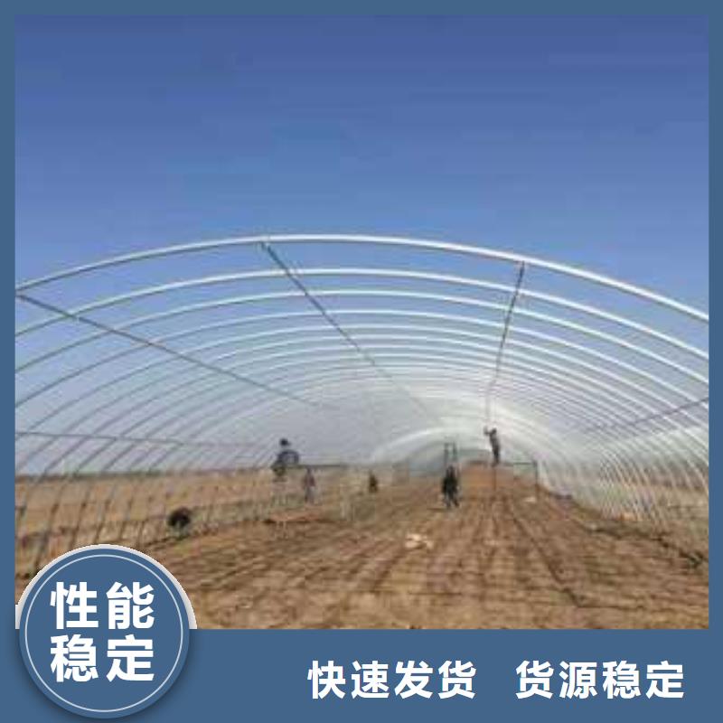 广东省珠海市白藤街道养鸡定尺大棚管承诺守信2024
