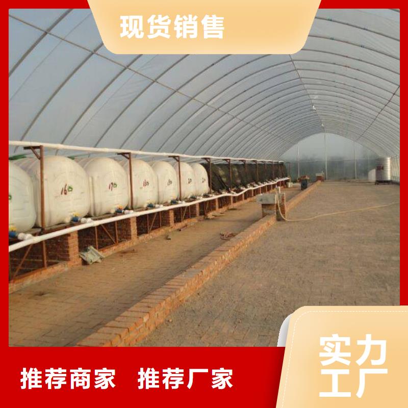 浙江省优选(泽沃)大跨度大棚钢管现货价格2024