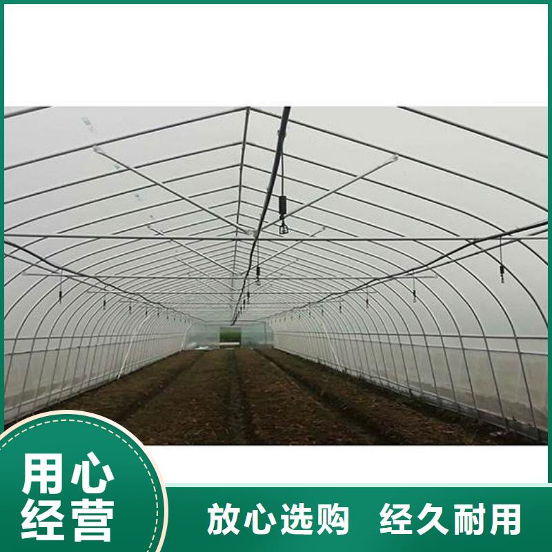 浙江省优选(泽沃)大跨度大棚钢管现货价格2024