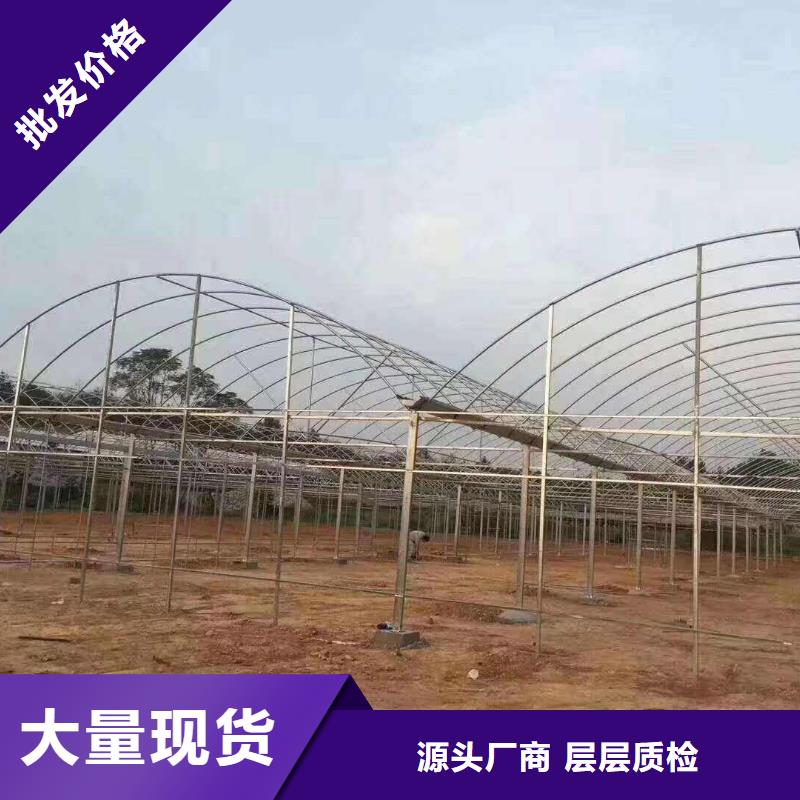 浙江省厂家技术完善<泽沃>海宁市葡萄用连体大棚钢管批发市场位置