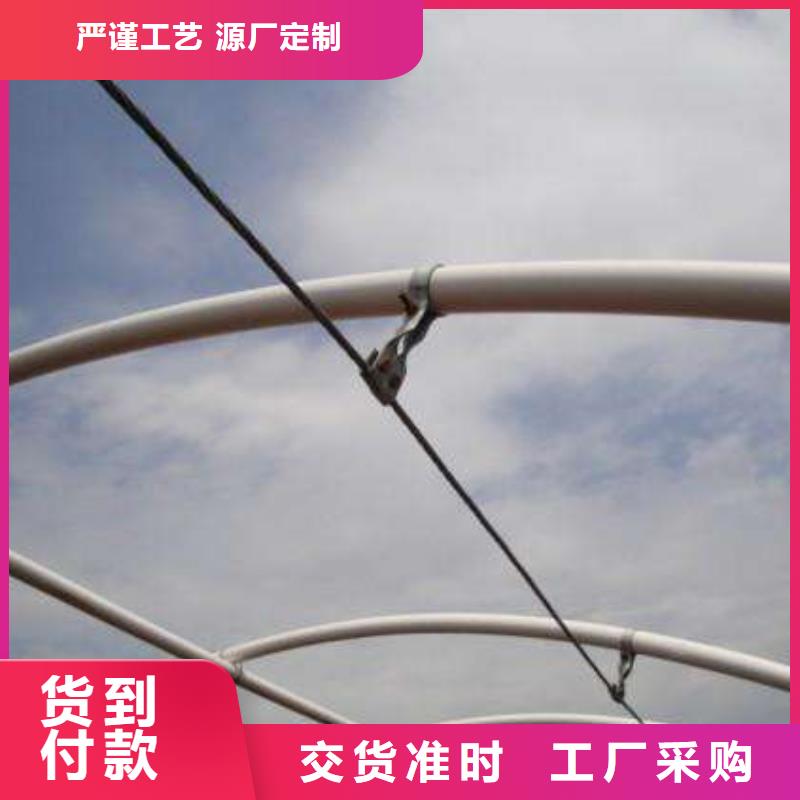 阳西县葡萄用连体大棚钢管为您打造理想大棚