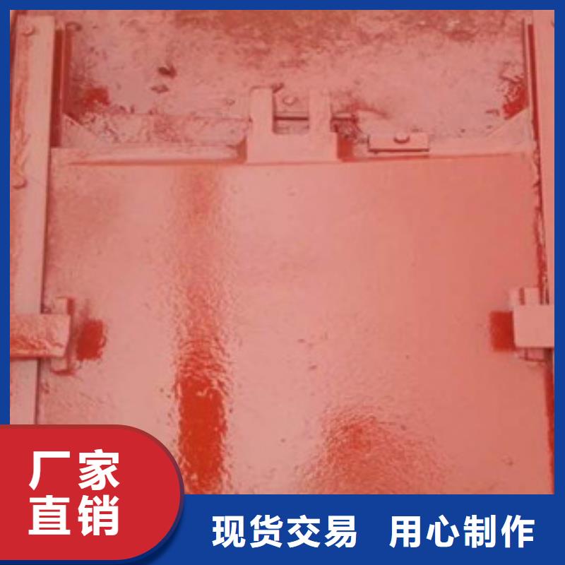厂家直发(瑞鑫)铸铁闸门水力自控翻板闸门品质服务