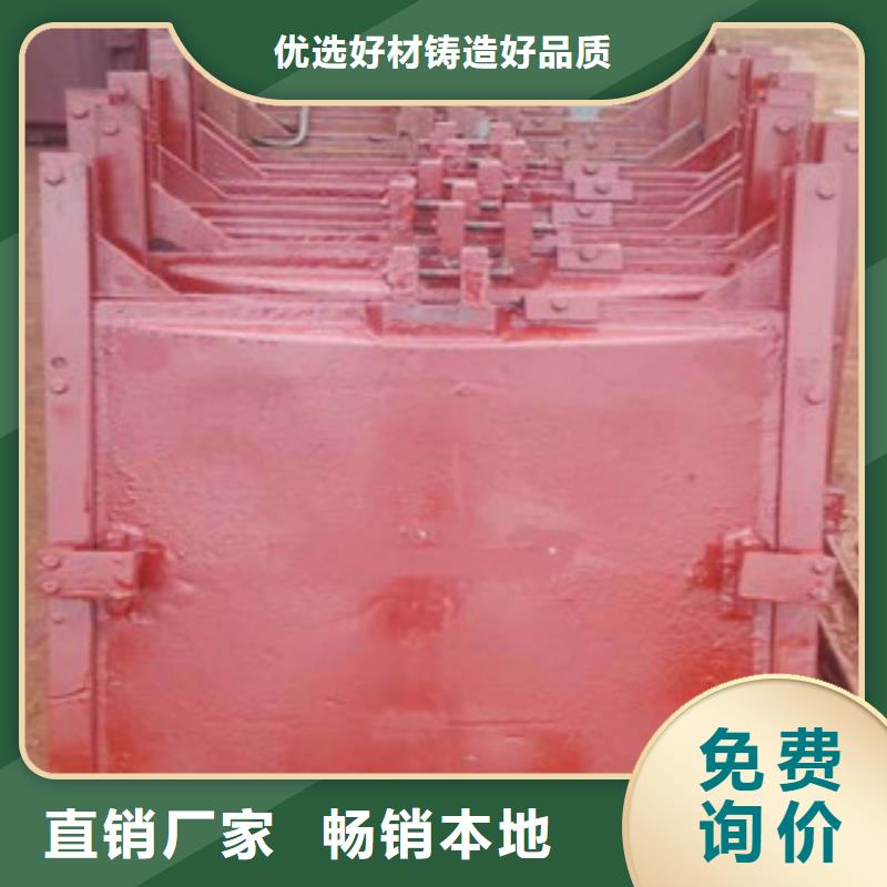 厂家直发(瑞鑫)铸铁闸门水力自控翻板闸门品质服务