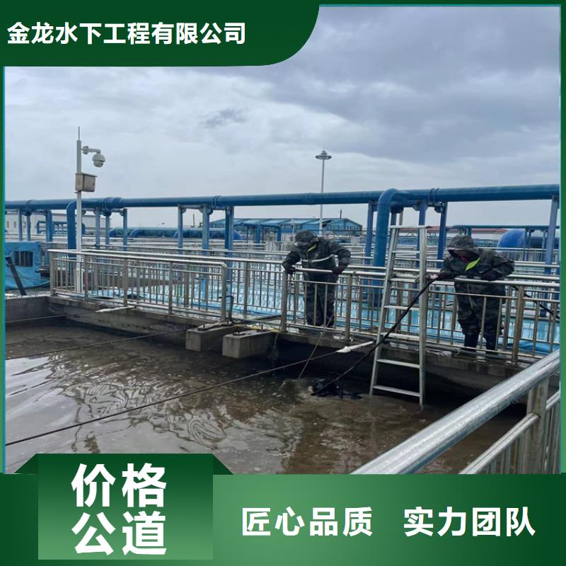 【桥桩桥墩水下检测录像公司-2024欢迎访问】-服务至上【金龙】