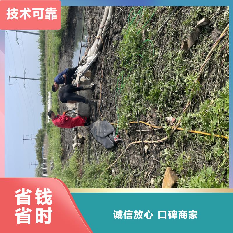 乐东县管道安装气囊封堵 本地潜水施工单位