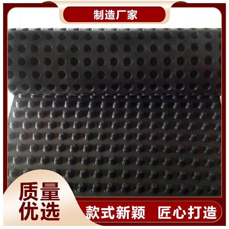 塑料排水板-HDPE土工膜主推产品