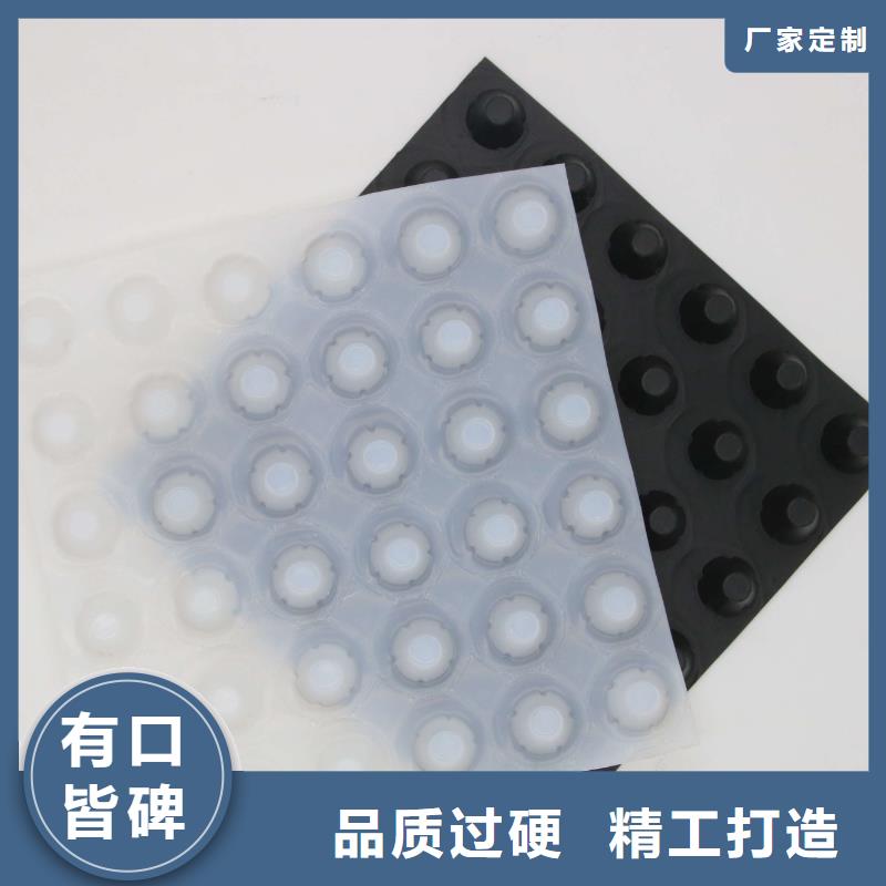 塑料排水板-HDPE土工膜主推产品