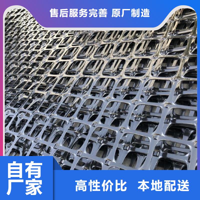 塑料土工格栅HDPE土工膜自有厂家