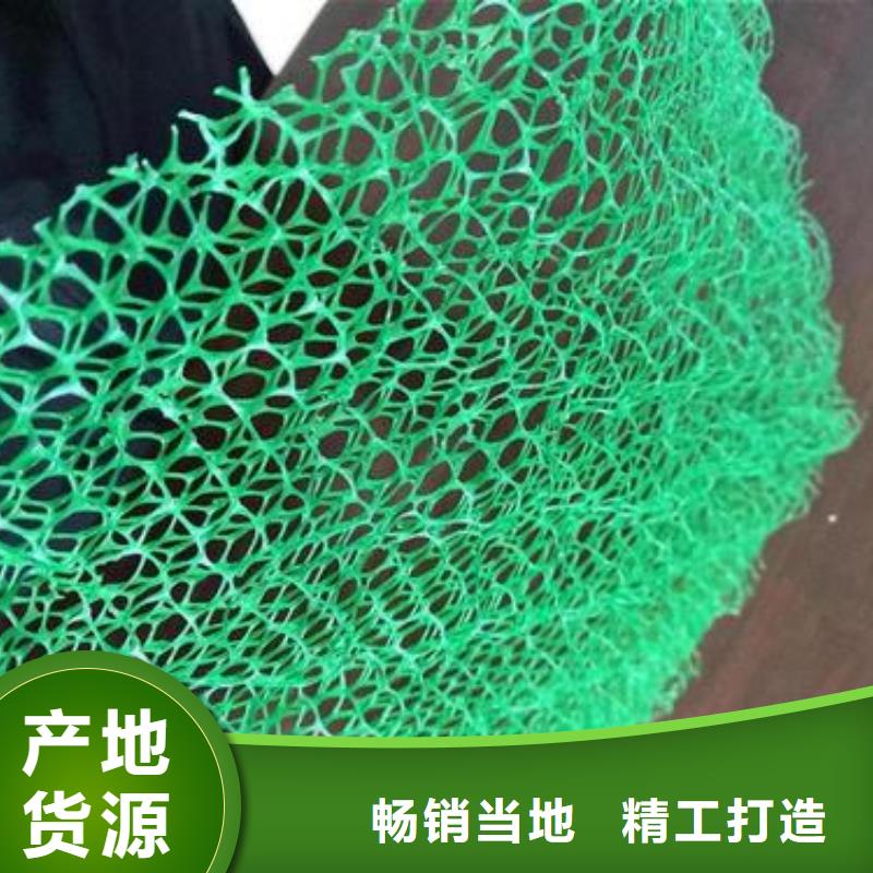 货源直供《鼎诺》三维植被网,塑料盲沟多种场景适用