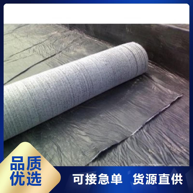 防水毯钢塑土工格栅厂家专注生产N年