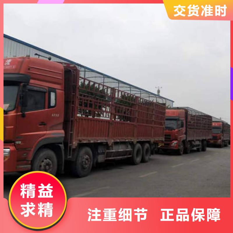 重庆到《靖江》咨询返程货车运输公司 2023(直达+全境)
