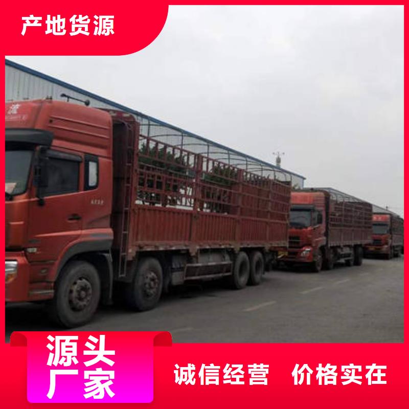 成都到屯昌县返程货车运输公司效率高服务快