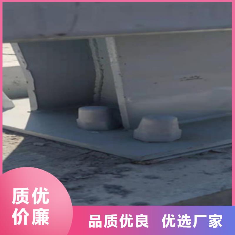 当地<鑫桥达>201不锈钢天桥护栏生产厂家