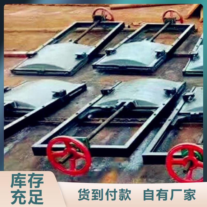 海南当地乐东县DN600铸铁镶铜闸门生产厂家