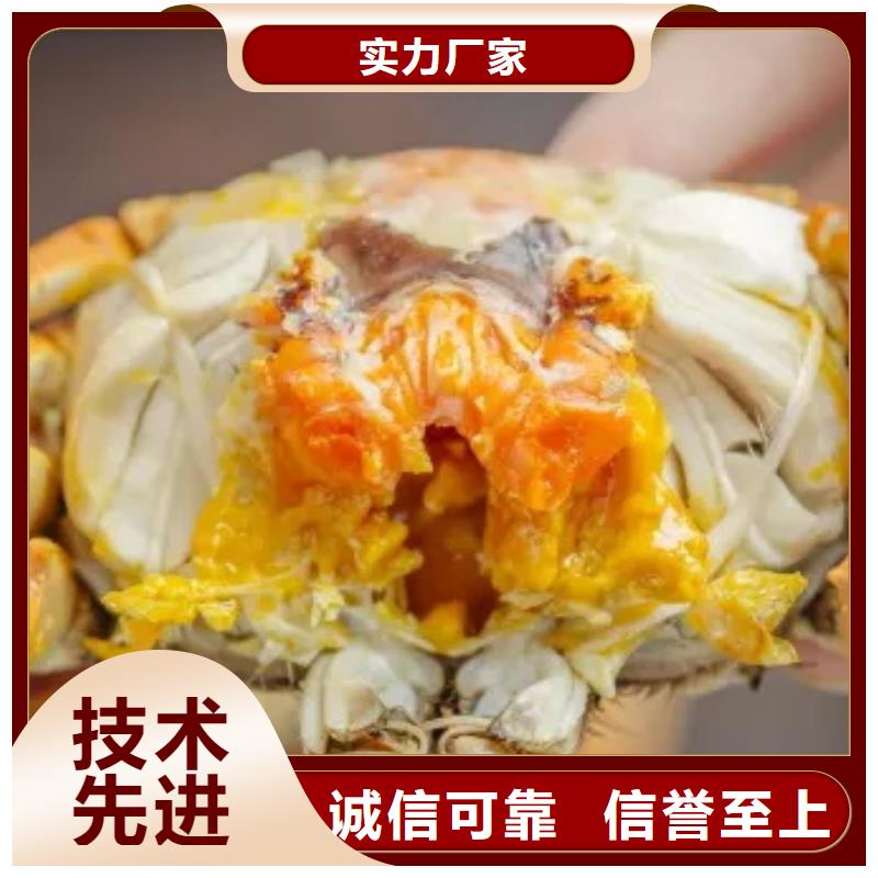 <顾记>阳江市鲜活 阳澄湖螃蟹价格多少钱一斤