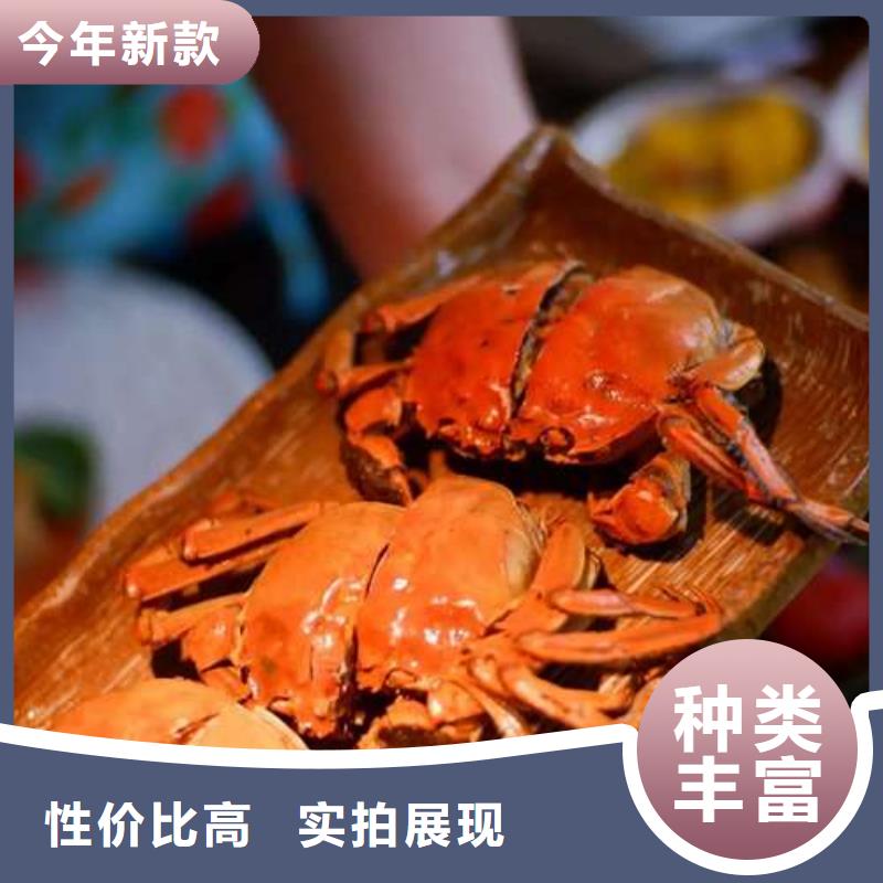 惠州市鲜活特大螃蟹养殖基地联系方式