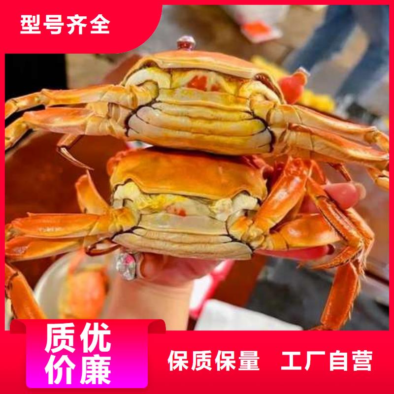(顾记)广州市精品大闸蟹养殖基地