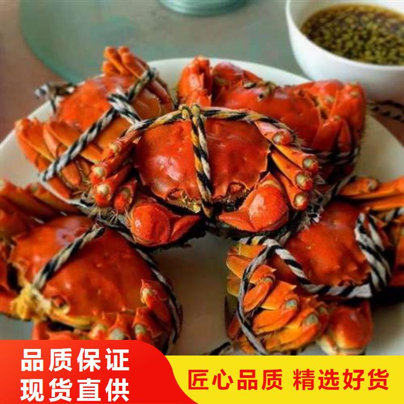 惠州市今天的螃蟹团购