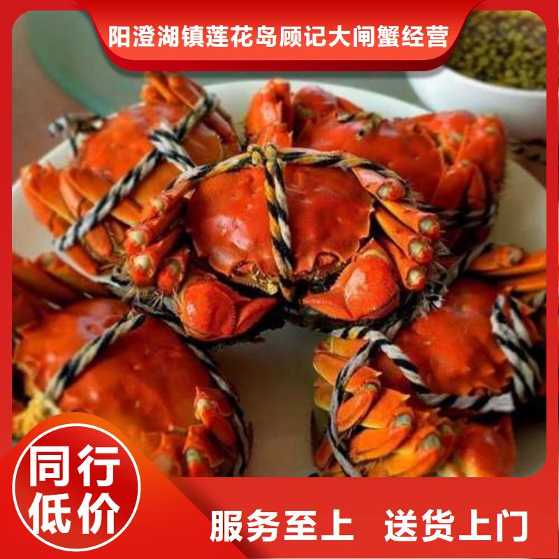 惠州市鲜活特大螃蟹养殖基地联系方式