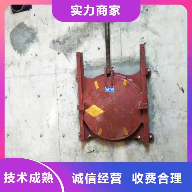 优质【昭通】订购一体铸铁闸门-一体铸铁闸门厂家