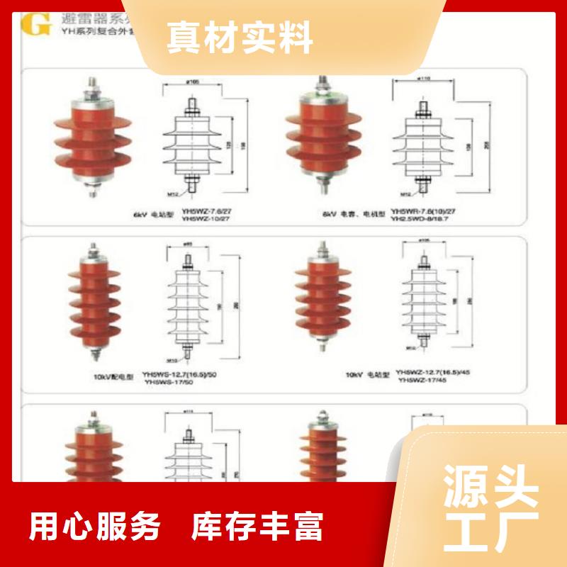 可卸式避雷器HY5WS-17/50DL【上海羿振电力设备有限公司】