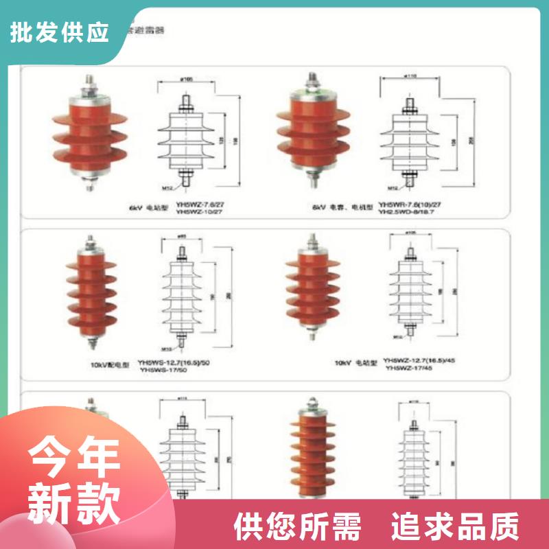 金属氧化物避雷器Y10W-100/260【浙江羿振电气有限公司】