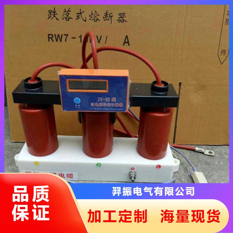 【优选】保护器(组合式避雷器)RY-GDY1-B/10组合过电压保护器