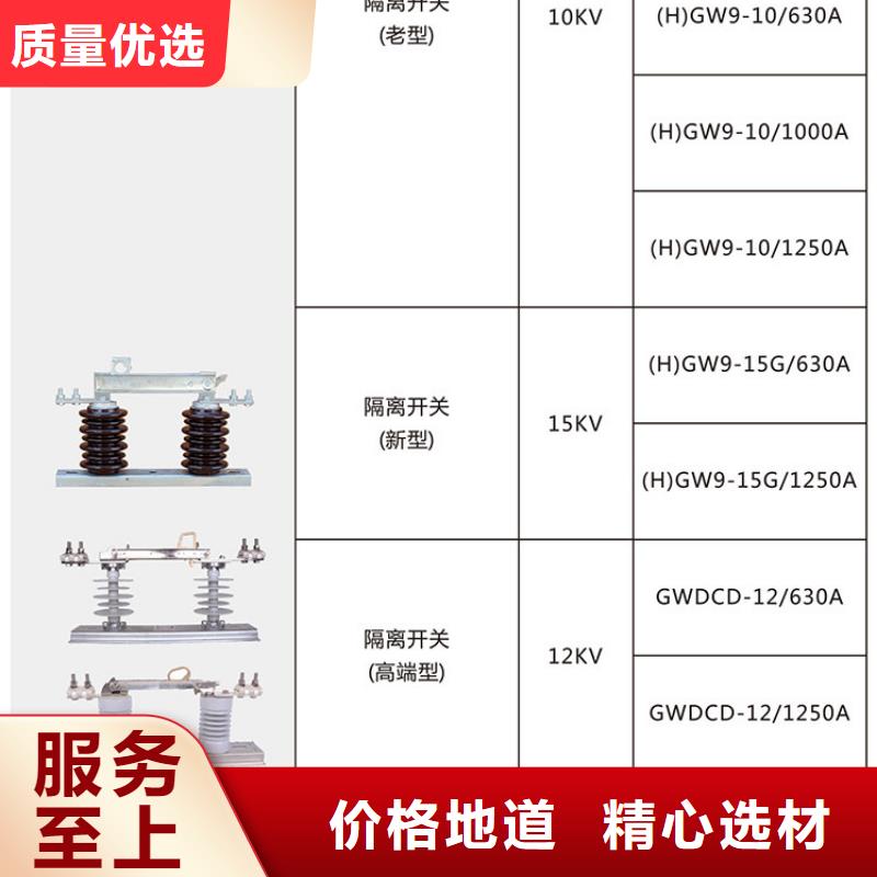 【羿振电气】户外高压交流隔离开关：HGW9-12KV/200现货齐全