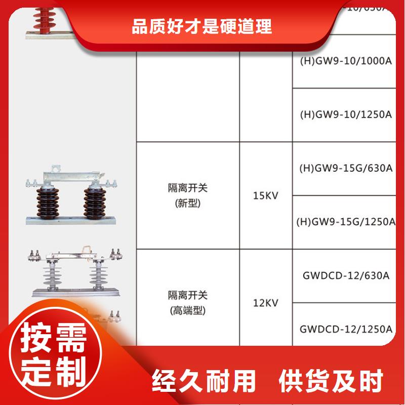 【羿振电气】高压隔离开关*HGW9-10W/1000A  厂家价格