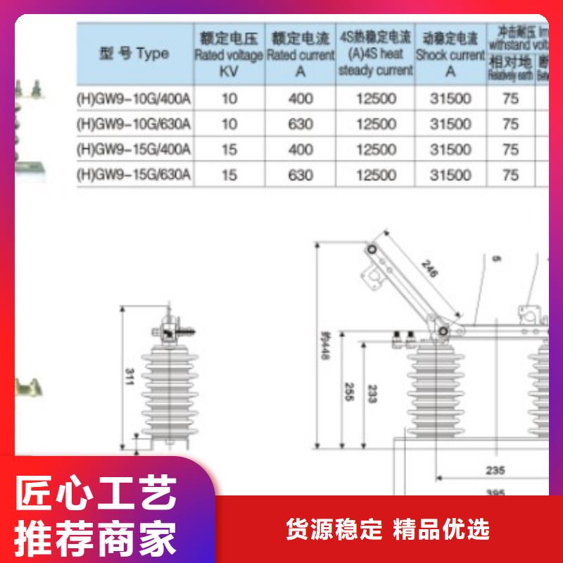 【羿振电气】高压隔离开关HGW9-35/1250A