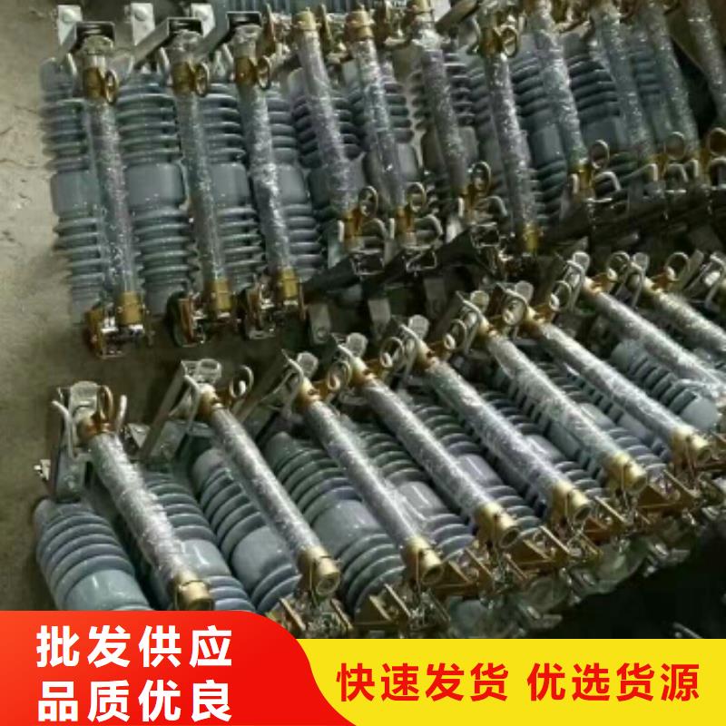 氧化锌避雷器Y10W5-96/250欢迎订购浙江羿振电气有限公司