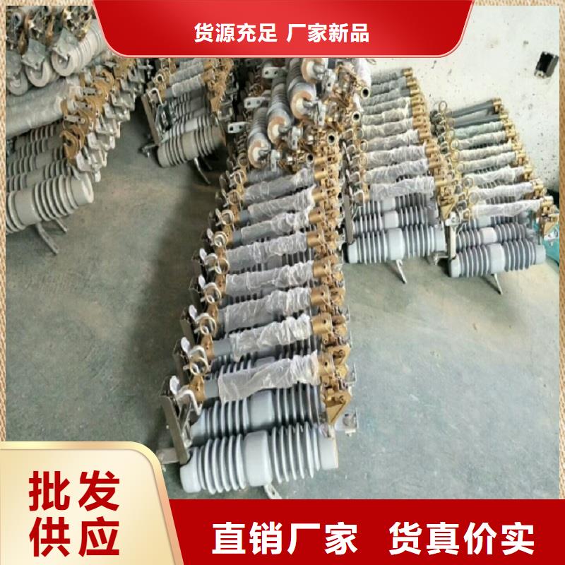 氧化锌避雷器Y10W5-96/250欢迎订购浙江羿振电气有限公司