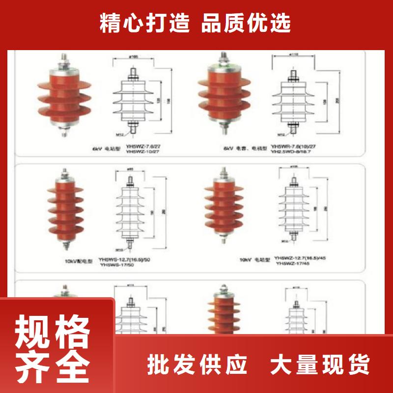 避雷器YH10CX-102/296浙江羿振电气有限公司