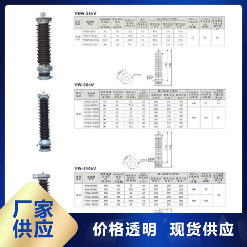 避雷器HY1.5W-31/81浙江羿振电气有限公司