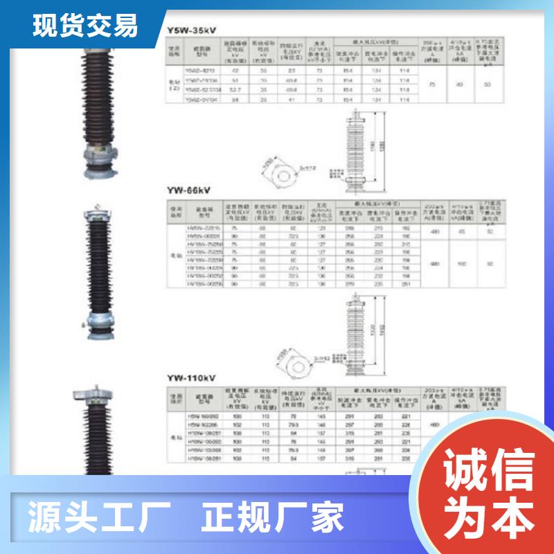 避雷器HY5WR-54/134W上海羿振电力设备有限公司