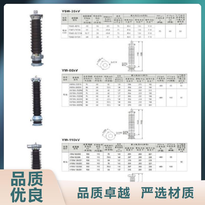 金属氧化物避雷器Y1W-55/132【上海羿振电力设备有限公司】