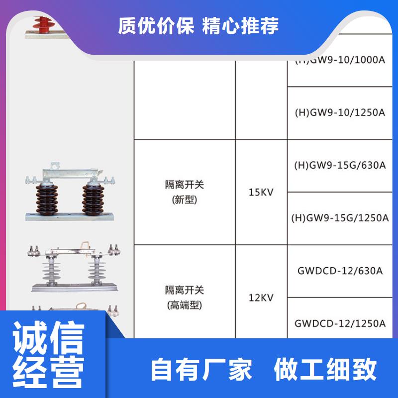 羿振10KV单级隔离开关HGW9-12G/200A、一件也发货-【本地】生产商