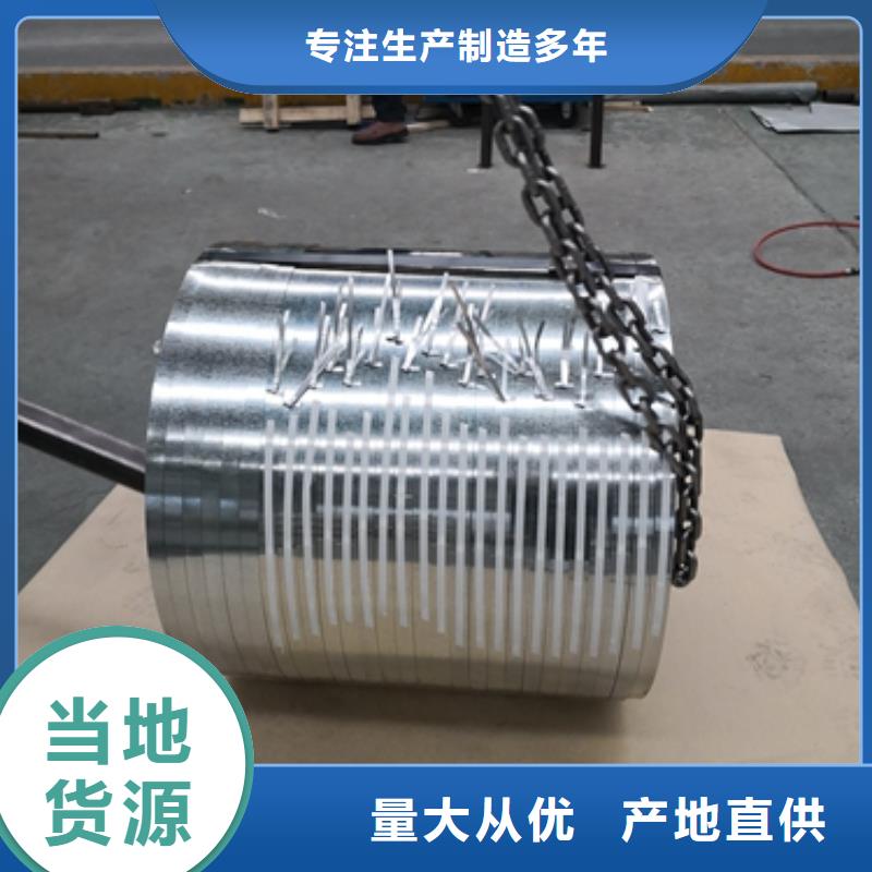 江西咨询电工钢硅钢片	B50A470